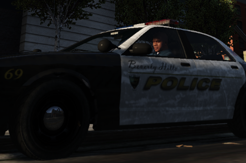 Beverly Hills PD skin for Stainer